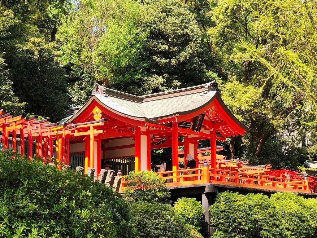 🌺 네즈 신사 철쭉원(네즈진자 츠츠지엔) 이미지 4